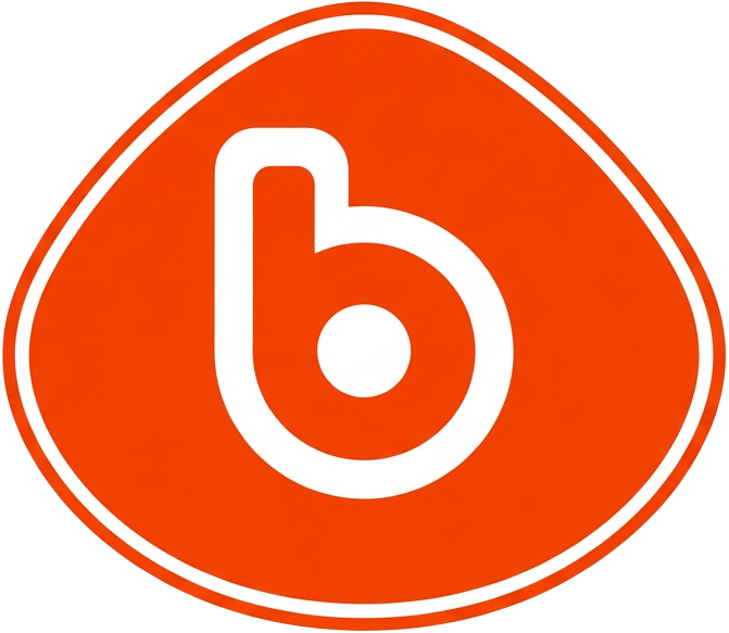 Brilliko Institutes logo